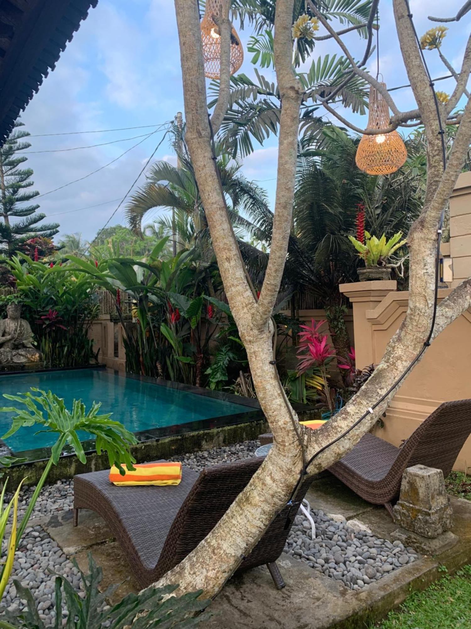 Villa Mangku In Ricefield Ubud Exteriér fotografie